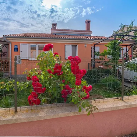 Arijana1 Mit Privater Terrasse By Interhome * Medulin